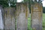 Tarnopol - macewy na cmentarzu �ydowskim
