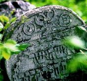 Cmentarz �ydowski w Tarnowie (foto: A. Szulczy�ski)