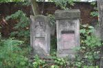 Cmentarz �ydowski w Tomaszowie Mazowieckim Jewish cemetery in Tomaszow Mazowiecki