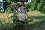 Cmentarz �ydowski w Tomaszowie Mazowieckim Jewish cemetery in Tomaszow Mazowiecki