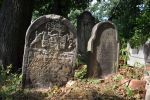 Cmentarz �ydowski w Tomaszowie Mazowieckim Jewish cemetery in Tomaszow Mazowiecki