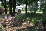 Cmentarz �ydowski w Tomaszowie Mazowieckim Jewish cemetery in Tomaszow Mazowiecki