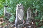 Cmentarz �ydowski w Tomaszowie Mazowieckim Jewish cemetery in Tomaszow Mazowiecki