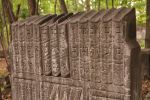 Cmentarz �ydowski w Tomaszowie Mazowieckim Jewish cemetery in Tomaszow Mazowiecki