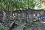 Cmentarz �ydowski w Tomaszowie Mazowieckim Jewish cemetery in Tomaszow Mazowiecki