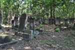 Cmentarz �ydowski w Tomaszowie Mazowieckim Jewish cemetery in Tomaszow Mazowiecki