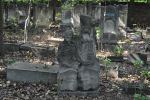Cmentarz �ydowski w Tomaszowie Mazowieckim Jewish cemetery in Tomaszow Mazowiecki