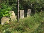 Cmentarz �ydowski w Ulanowie Jewish cemetery in Ulanow