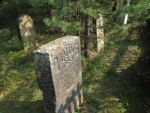 Cmentarz �ydowski w Ulanowie Jewish cemetery in Ulanow