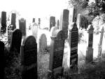 wej�cie na cmentarz �ydowski w Wadowicach
