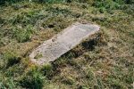 Wielopole Skrzy�skie - macewa na cmentarzu �ydowskim