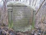 cmentarz �ydowski w Wiskitkach