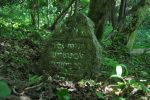 Wizna - nagrobek na cmentarzu �ydowskim