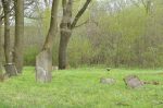 Wielkie Oczy - cmentarz żydowski