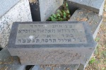 W�oc�awek - nagrobek w kwaterze �ydowskiej na cmentarzu komunalnym