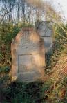 Wola Michowa - cmentarz �ydowski