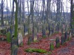 Zawiercie - cmentarz �ydowski