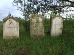 macewy na cmentarzu �ydowskim w Zwierzy�cu