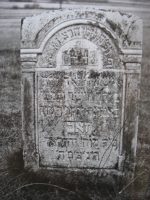 Zwierzyniec - cmentarz �ydowski