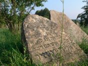 Jewish cemetery in Krynki - photo: A. Cyruk