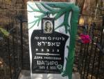 Birobidzan - cmentarz �ydowski Jewish cemetery in Birobidzan