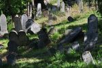 Cmentarz �ydowski w Mikulovie Jewish cemetery in Mikulov